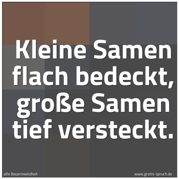 Spruchbild mit dem Text 'Kleine Samen flach bedeckt,
große Samen tief versteckt.'