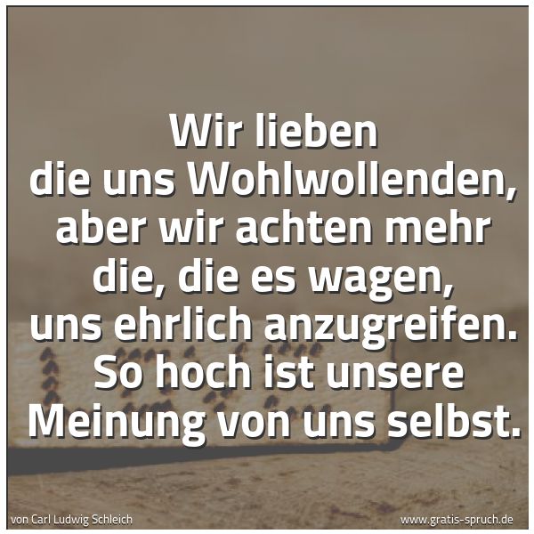 Spruchbild mit dem Text 'Wir lieben die uns Wohlwollenden, aber wir achten mehr die, die es wagen, uns ehrlich anzugreifen. 
So hoch ist unsere Meinung von uns selbst.'