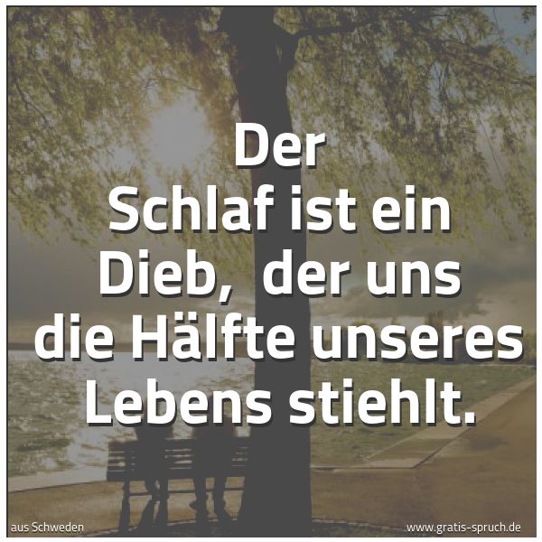 Spruchbild mit dem Text 'Der Schlaf ist ein Dieb, 
der uns die Hälfte unseres Lebens stiehlt.'