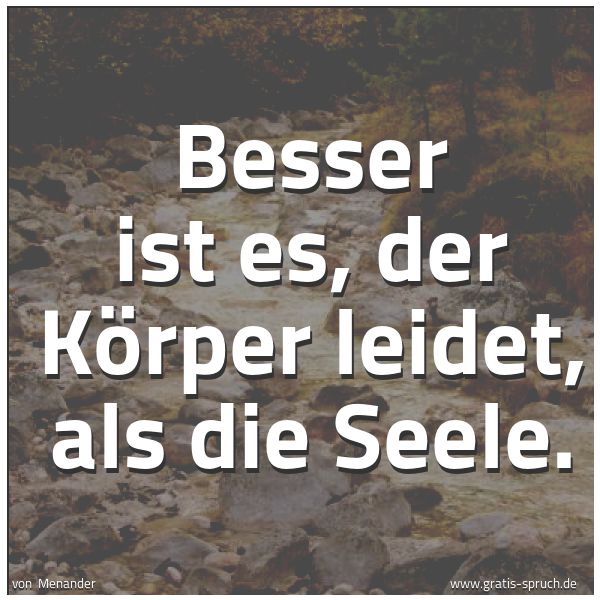 Spruchbild mit dem Text 'Besser ist es, der Körper leidet, als die Seele.'
