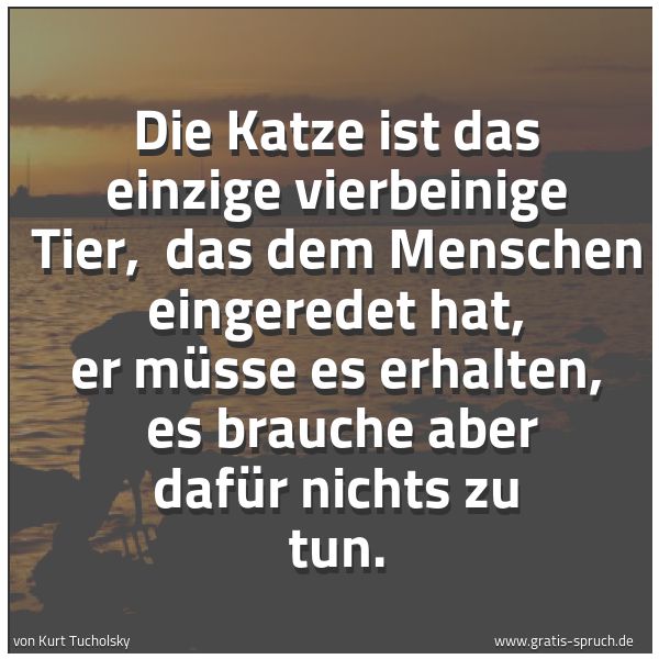 Spruchbild mit dem Text 'Die Katze ist das einzige vierbeinige Tier, 
das dem Menschen eingeredet hat, er müsse es erhalten, 
es brauche aber dafür nichts zu tun. '