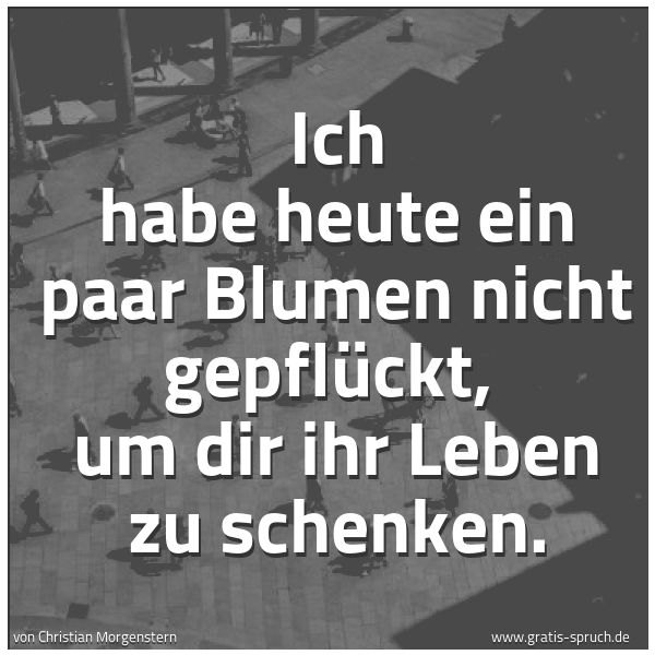 Spruchbild mit dem Text 'Ich habe heute ein paar Blumen nicht gepflückt, 
um dir ihr Leben zu schenken.'