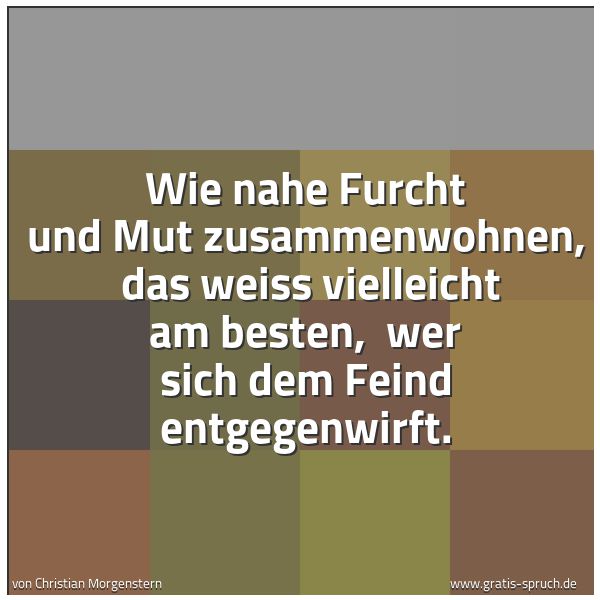 Spruchbild mit dem Text 'Wie nahe Furcht und Mut zusammenwohnen, 
das weiss vielleicht am besten, 
wer sich dem Feind entgegenwirft.'