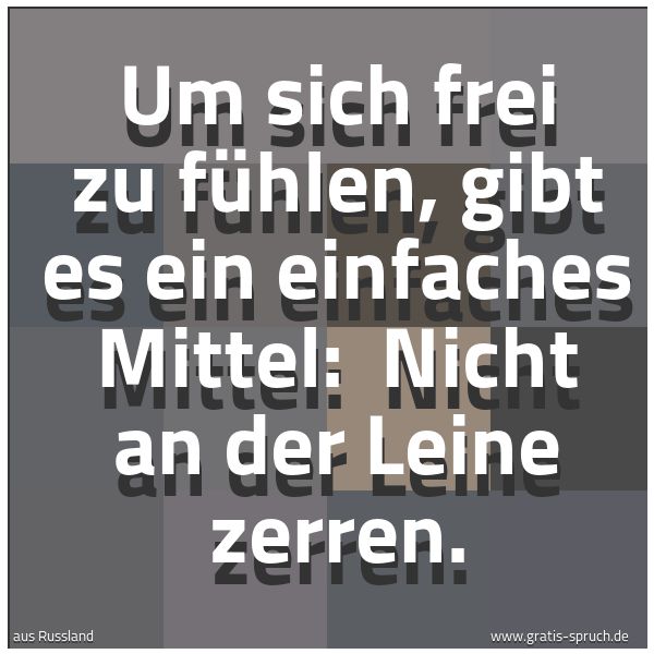 Spruchbild mit dem Text 'Um sich frei zu fühlen, gibt es ein einfaches Mittel: 
Nicht an der Leine zerren.'