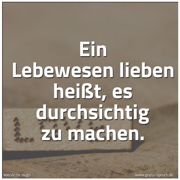 Spruchbild mit dem Text 'Ein Lebewesen lieben heißt, es durchsichtig zu machen. '