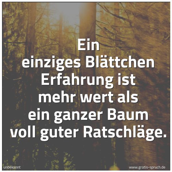 Spruchbild mit dem Text 'Ein einziges Blättchen Erfahrung
ist mehr wert als ein ganzer Baum voll guter Ratschläge.'