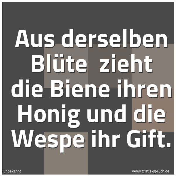 Spruchbild mit dem Text 'Aus derselben Blüte 
zieht die Biene ihren Honig und die Wespe ihr Gift. '