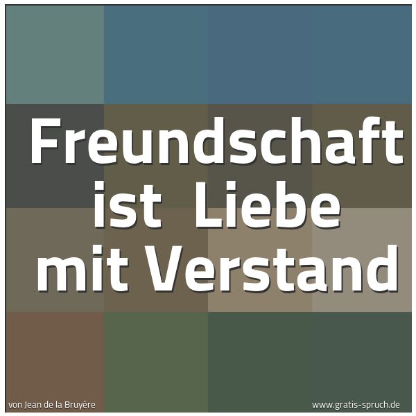 Spruchbild mit dem Text 'Freundschaft ist 
Liebe mit Verstand'