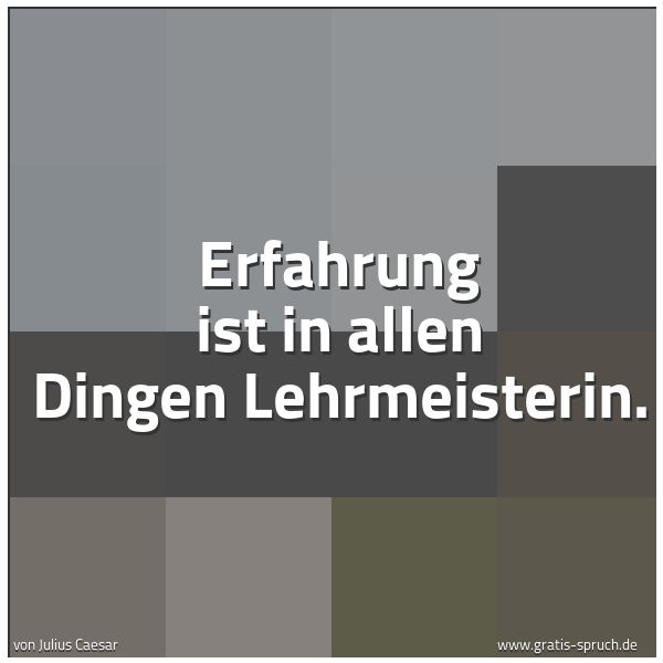 Spruchbild mit dem Text 'Erfahrung ist in allen Dingen Lehrmeisterin.'
