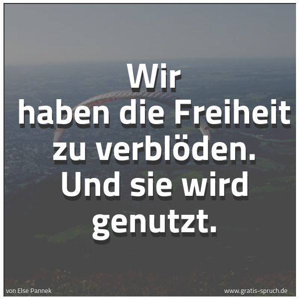 Spruchbild mit dem Text 'Wir haben die Freiheit zu verblöden.
Und sie wird genutzt.'
