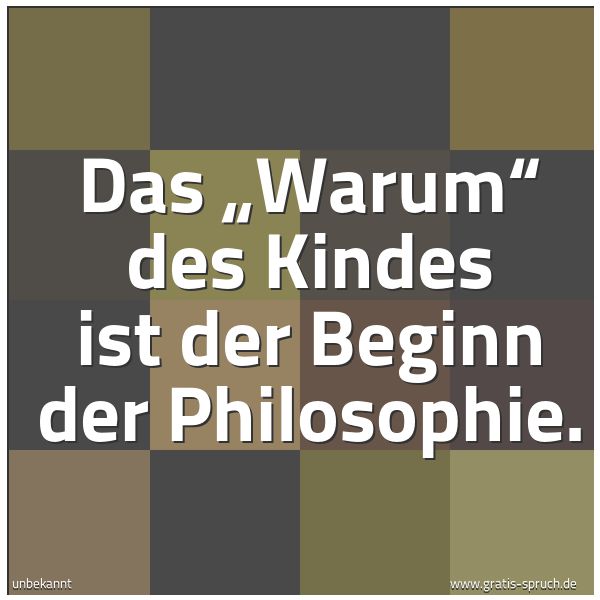 Spruchbild mit dem Text 'Das „Warum“ des Kindes ist der Beginn der Philosophie. '