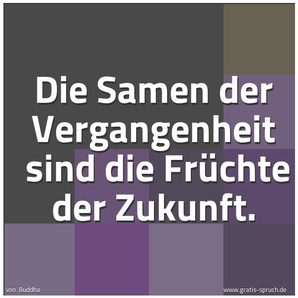 Spruchbild mit dem Text 'Die Samen der Vergangenheit 
sind die Früchte der Zukunft. '