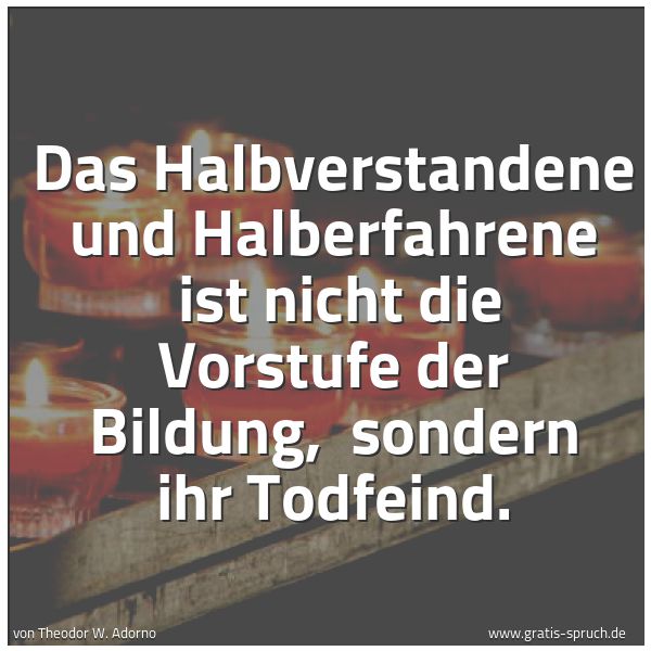 Spruchbild mit dem Text 'Das Halbverstandene und Halberfahrene 
ist nicht die Vorstufe der Bildung, 
sondern ihr Todfeind.'