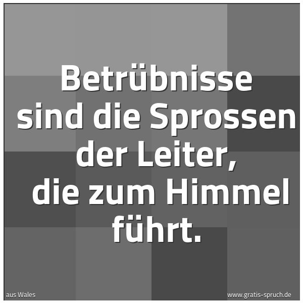 Spruchbild mit dem Text 'Betrübnisse sind die Sprossen der Leiter, 
die zum Himmel führt.'