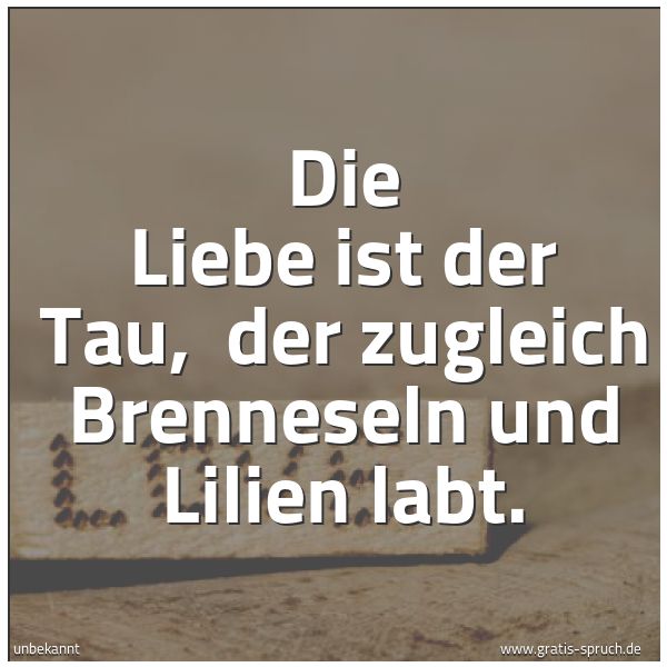 Spruchbild mit dem Text 'Die Liebe ist der Tau, 
der zugleich Brenneseln und Lilien labt.'