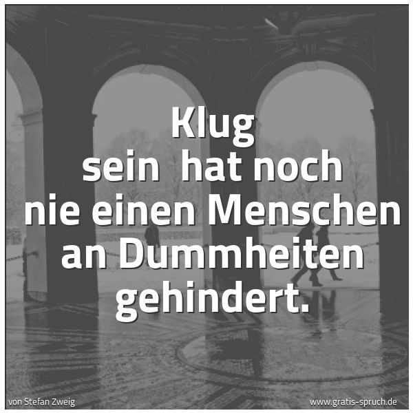 Spruchbild mit dem Text 'Klug sein 
hat noch nie einen Menschen an Dummheiten gehindert.'