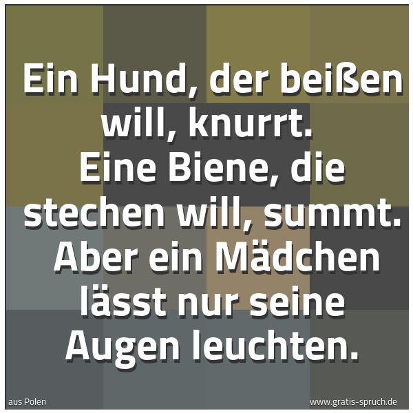Spruchbild mit dem Text 'Ein Hund, der beißen will, knurrt. 
Eine Biene, die stechen will, summt. 
Aber ein Mädchen lässt nur seine Augen leuchten.'