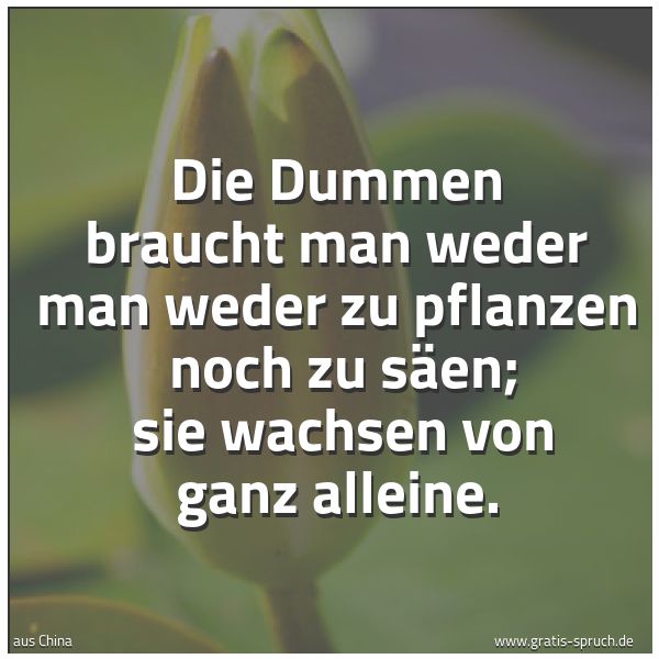 Spruchbild mit dem Text 'Die Dummen braucht man weder man weder zu pflanzen 
noch zu säen; 
sie wachsen von ganz alleine.'