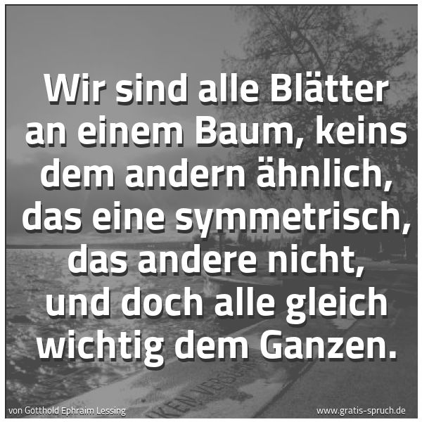 Spruchbild mit dem Text 'Wir sind alle Blätter an einem Baum,
keins dem andern ähnlich,
das eine symmetrisch, das andere nicht,
und doch alle gleich wichtig dem Ganzen.'