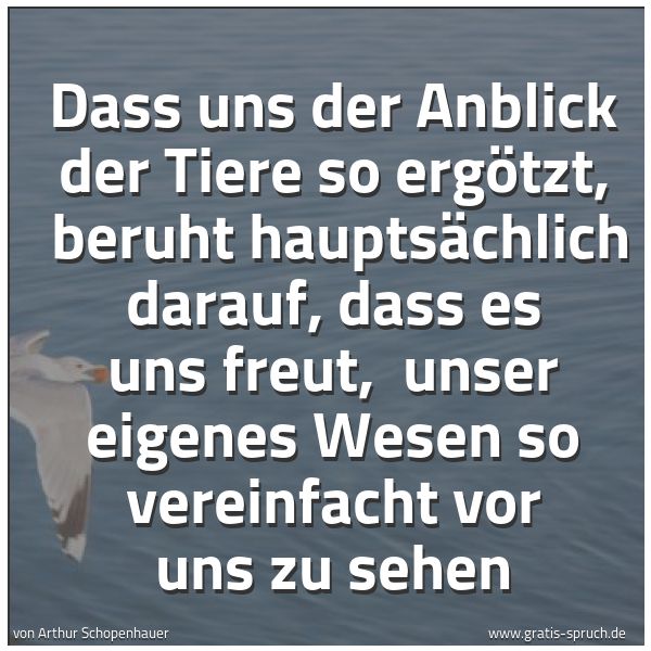 Spruchbild mit dem Text 'Dass uns der Anblick der Tiere so ergötzt, 
beruht hauptsächlich darauf, dass es uns freut, 
unser eigenes Wesen so vereinfacht vor uns zu sehen'