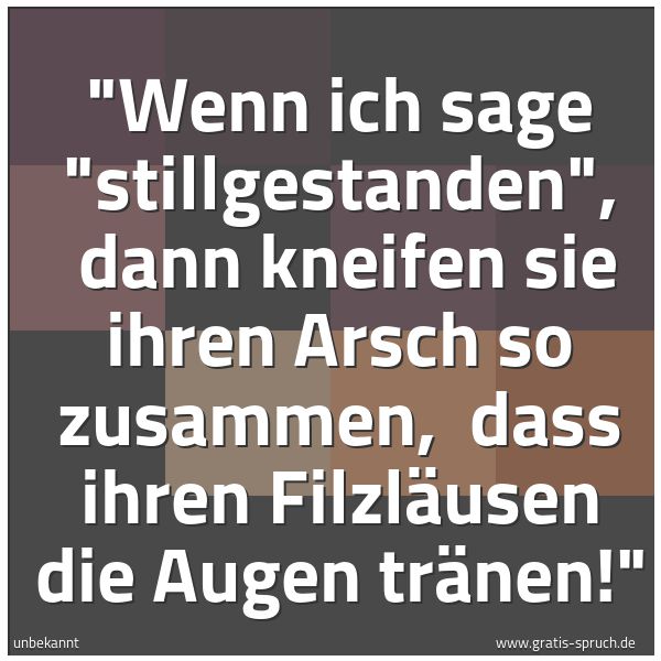 Spruchbild mit dem Text ''Wenn ich sage 'stillgestanden', 
dann kneifen sie ihren Arsch so zusammen, 
dass ihren Filzläusen die Augen tränen!' '