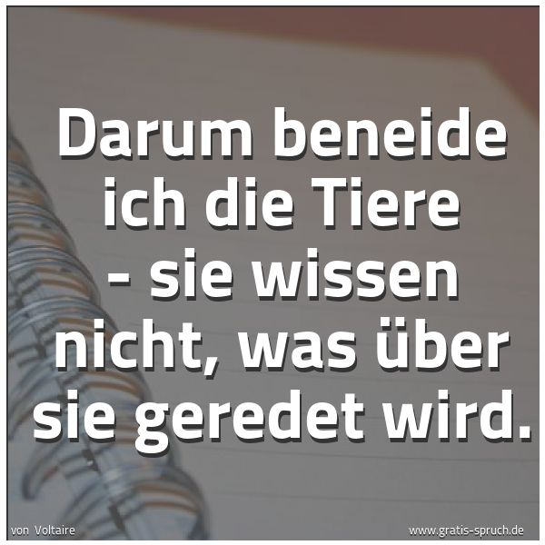 Spruchbild mit dem Text 'Darum beneide ich die Tiere -
sie wissen nicht, was über sie geredet wird.'