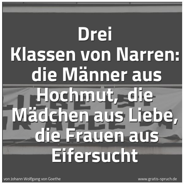 Spruchbild mit dem Text 'Drei Klassen von Narren: 
die Männer aus Hochmut, 
die Mädchen aus Liebe, 
die Frauen aus Eifersucht'