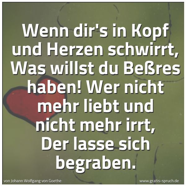 Spruchbild mit dem Text 'Wenn dir's in Kopf und Herzen schwirrt,
Was willst du Beßres haben!
Wer nicht mehr liebt und nicht mehr irrt,
Der lasse sich begraben.'
