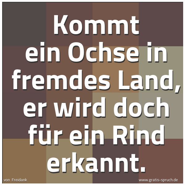 Spruchbild mit dem Text 'Kommt ein Ochse in fremdes Land,
er wird doch für ein Rind erkannt.'