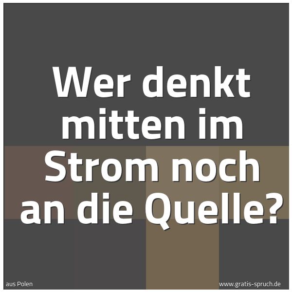 Spruchbild mit dem Text 'Wer denkt mitten im Strom noch an die Quelle?'
