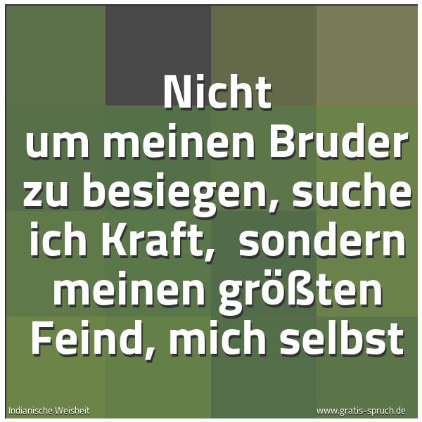 Spruchbild mit dem Text 'Nicht um meinen Bruder zu besiegen, suche ich Kraft, 
sondern meinen größten Feind, mich selbst
'