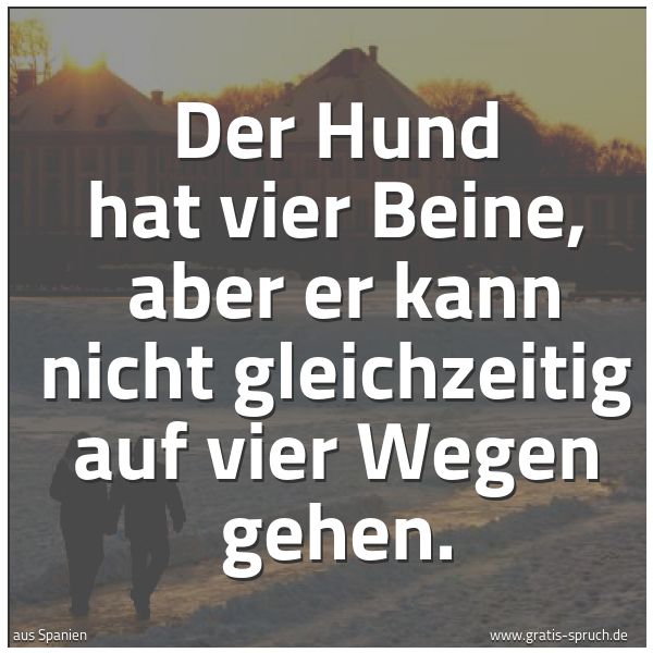 Spruchbild mit dem Text 'Der Hund hat vier Beine, 
aber er kann nicht gleichzeitig auf vier Wegen gehen.'