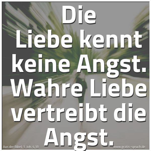 Spruchbild mit dem Text 'Die Liebe kennt keine Angst.
Wahre Liebe vertreibt die Angst.'