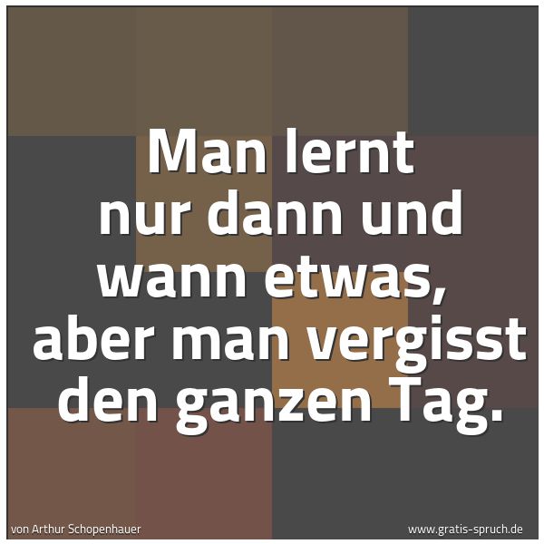 Spruchbild mit dem Text 'Man lernt nur dann und wann etwas, 
aber man vergisst den ganzen Tag.

'