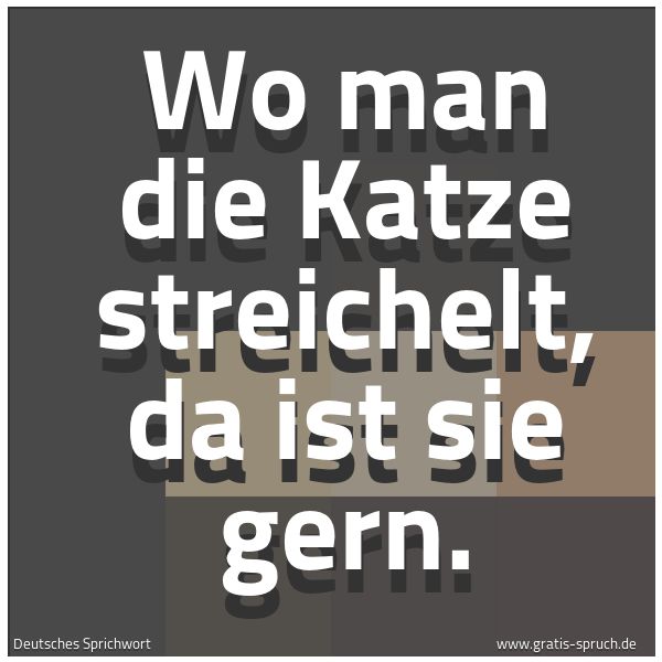 Spruchbild mit dem Text 'Wo man die Katze streichelt, da ist sie gern.'