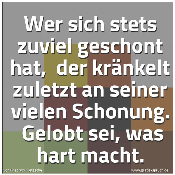 Spruchbild mit dem Text 'Wer sich stets zuviel geschont hat, 
der kränkelt zuletzt an seiner vielen Schonung. 
Gelobt sei, was hart macht.'